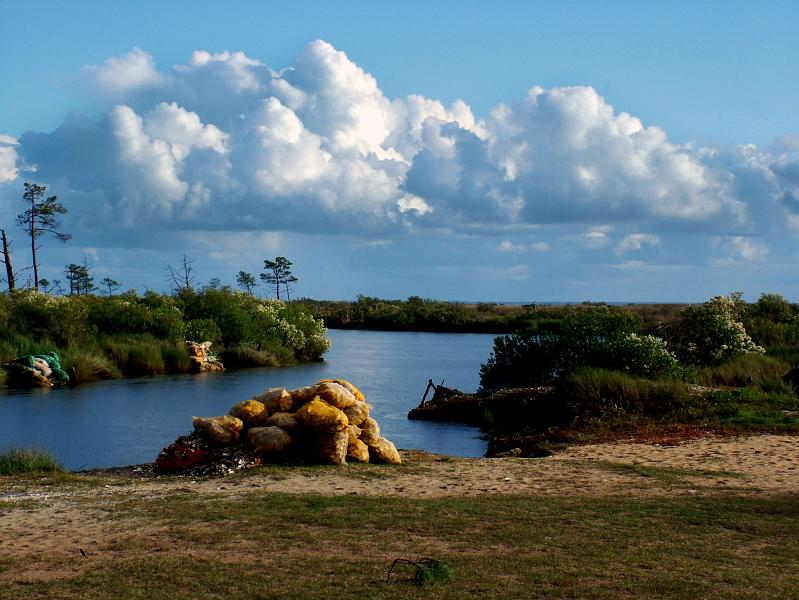 Pibale installation 1.JPG